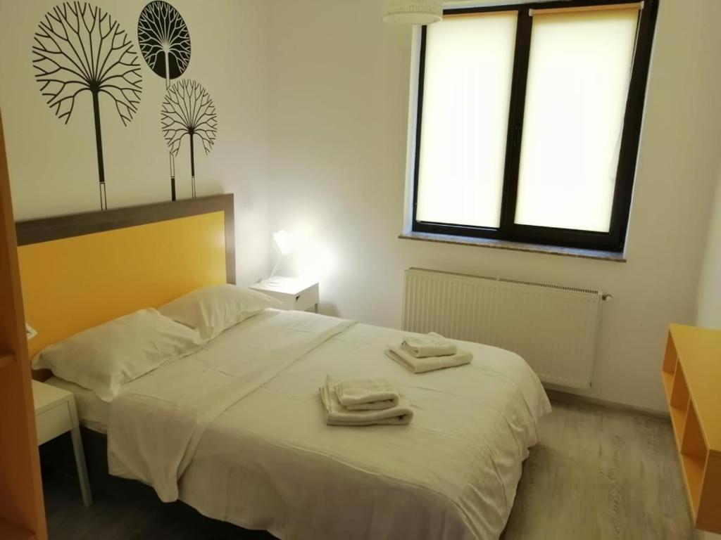 Urban Apartments And Studios - City Center Iasi Bilik gambar